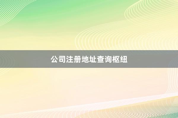 公司注册地址查询枢纽